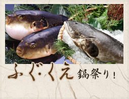 ふぐ・くえ鍋祭り！